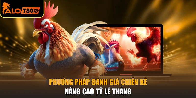 Phương pháp đánh giá chiến kê nâng cao tỷ lệ thắng