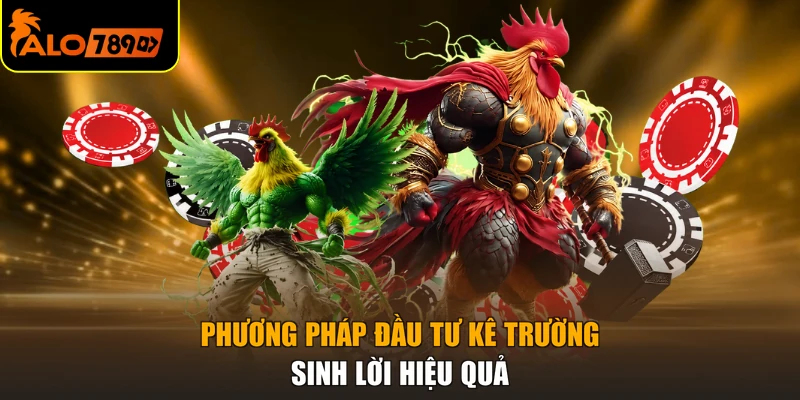 Phương pháp đầu tư kê trường sinh lời hiệu quả
